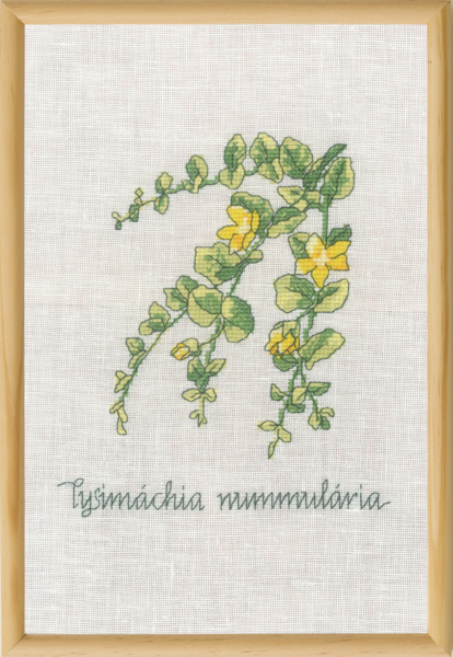 Broderikit Penningblad R5799 20 x 30 cm