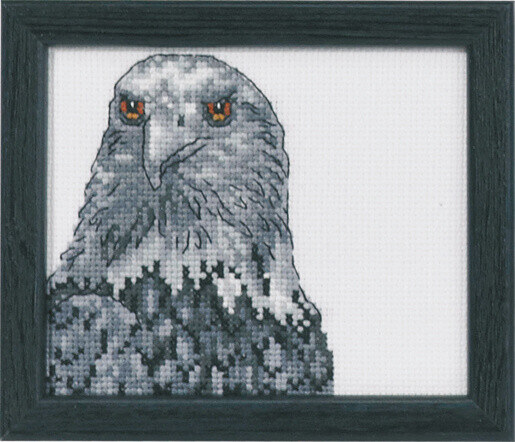 Broderikit Örn R5497 9 x 11 cm