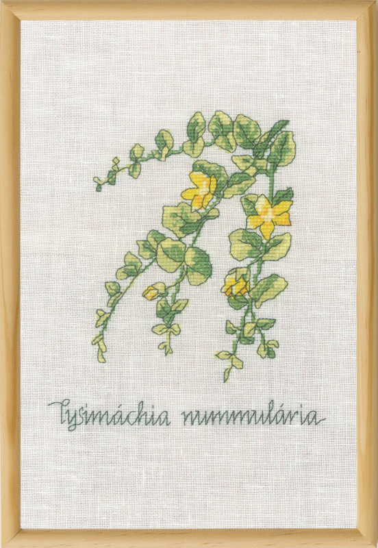 Broderikit Penningblad R5799 20 x 30 cm