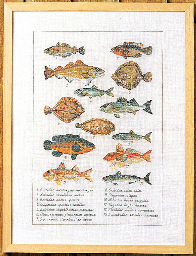 Broderikit Fisk 41 x 56 cm 5676