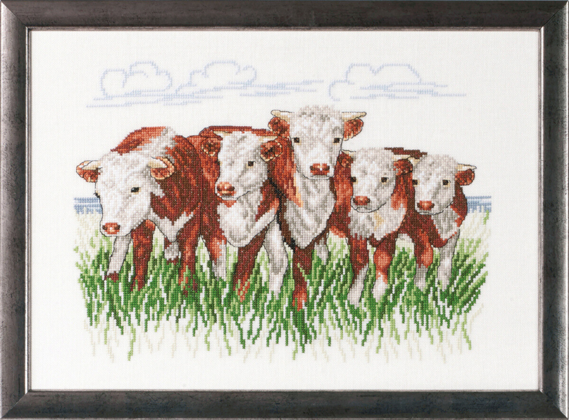 Broderikit Hereford kor R/5344 41 x 29 cm