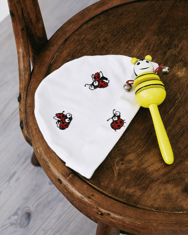 Broderikit Nyckelpigor 7 x 9 cm