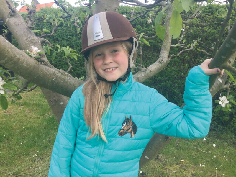 Broderikit Hästhuvud 7 x 9 cm