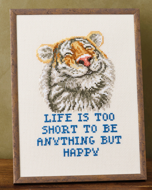 Broderikit Anything R5799 18 x 24 cm