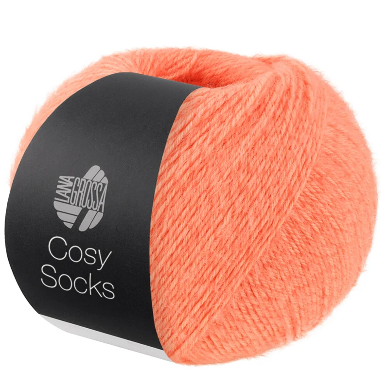 Lana Grossa Cosy Socks 21 Lax
