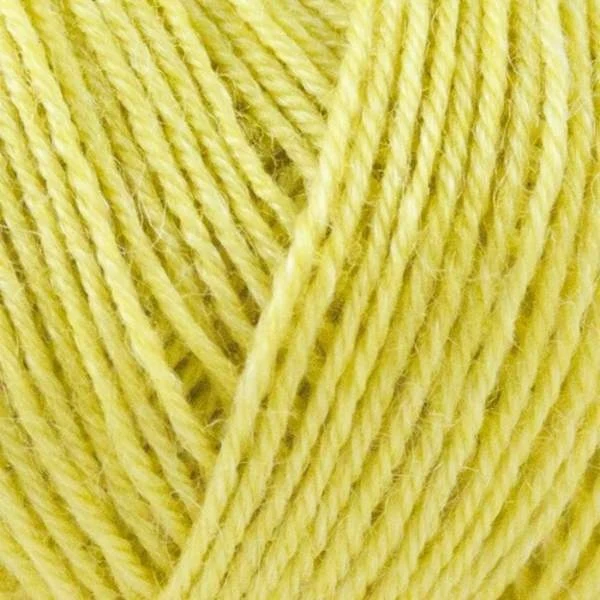 Onion Nettle Sock Yarn 1019