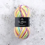 Svarta Fåret Sox Merino 4 ply 24 Färgprovsbok