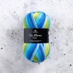 Svarta Fåret Sox Merino 4 ply 23 Kustlinje