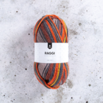 Järbo Raggi 100g 15218 Nightingale Lane