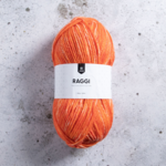 Järbo Raggi 100g 15207 Rhubarb Melange