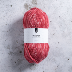 Järbo Raggi 100g 15205 Rose Hip Melange