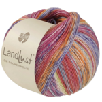 Lana Grossa Landlust die Sockenwolle Seide 335 Orange/Grå/Citron-/Ljusblå/Blå/Violett/Fuchsia/Ljus röd randig